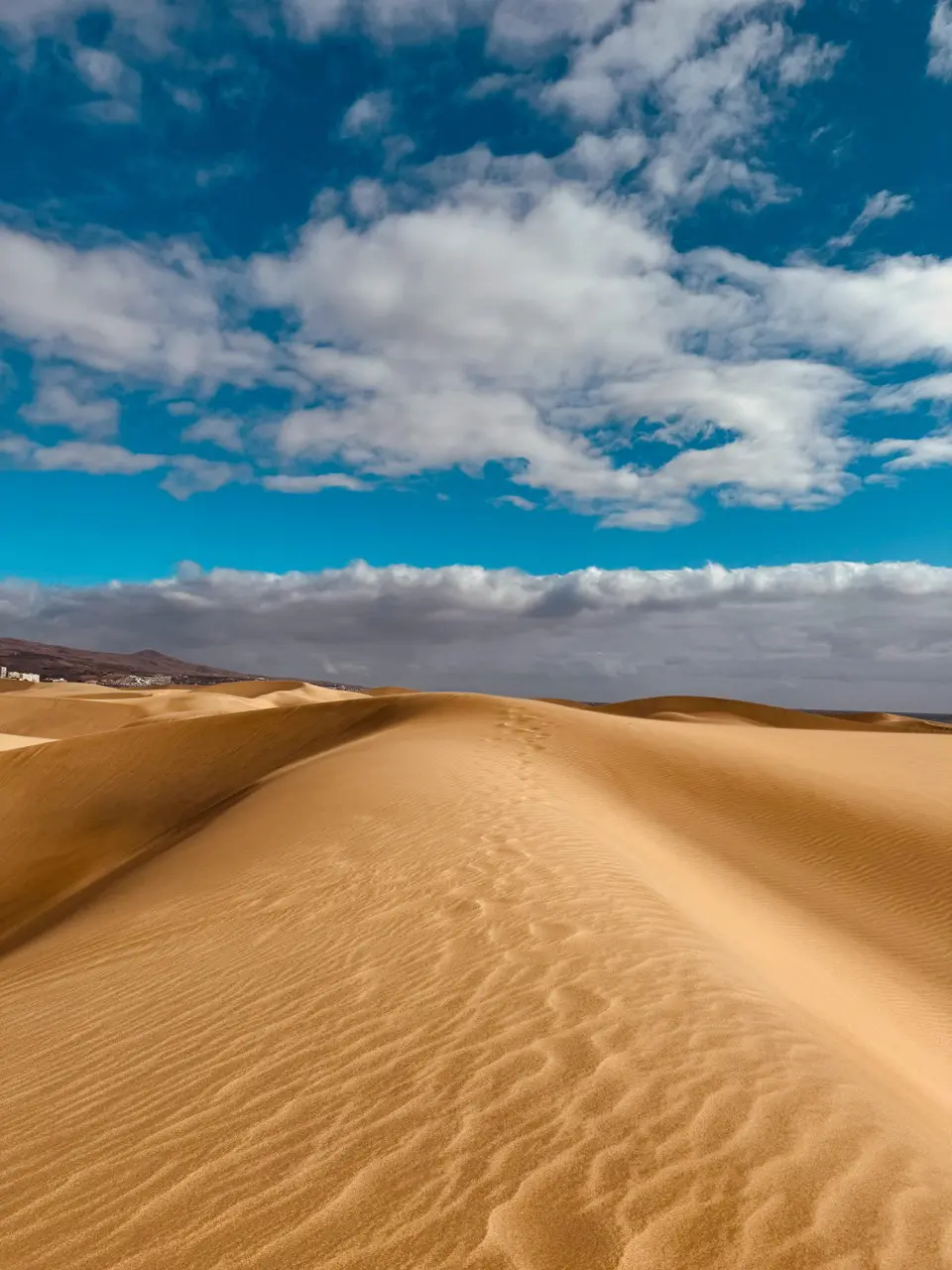 Gran Canaria Canary Trail