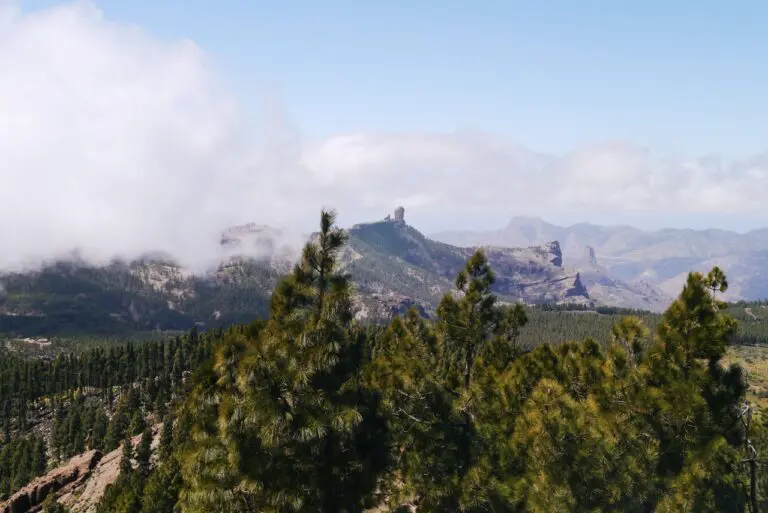 Gran Canaria Trail