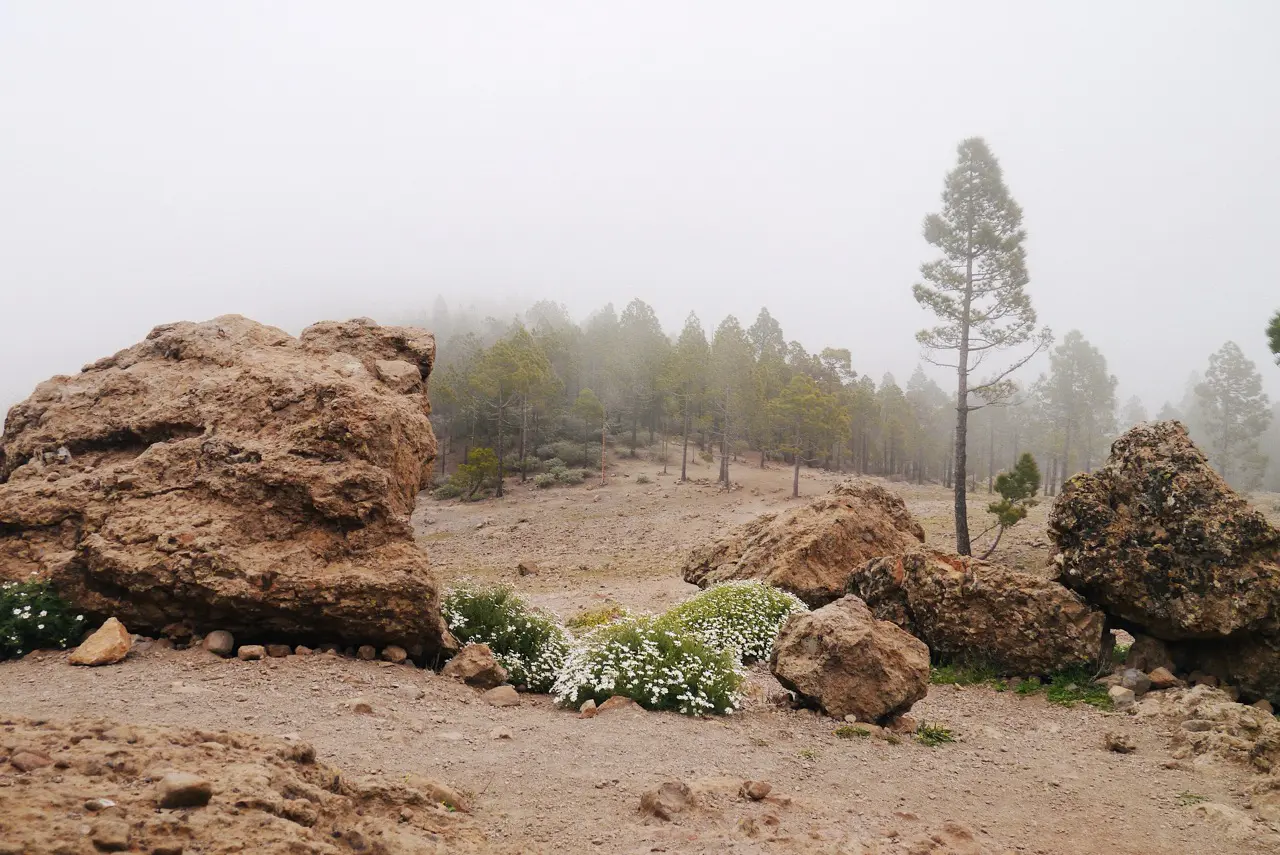 Gran Canaria Trail