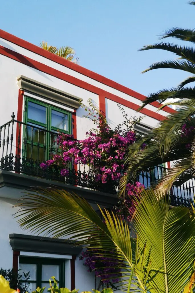 Gran Canaria Trail