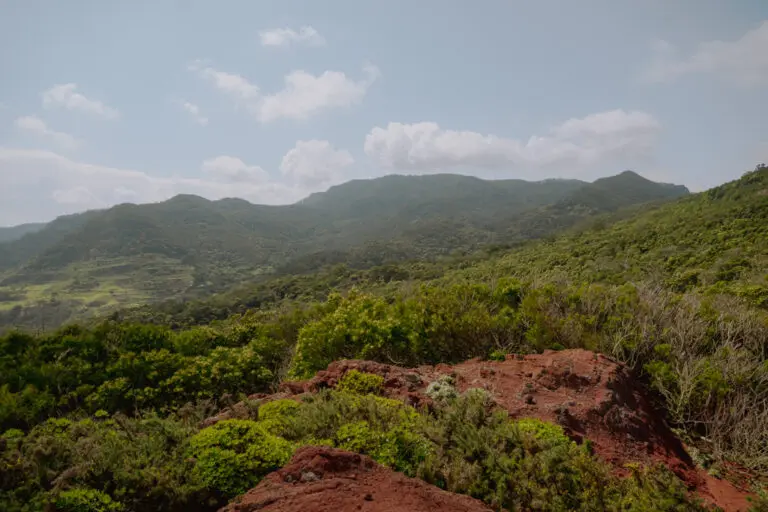 Canary Trail San bartolome