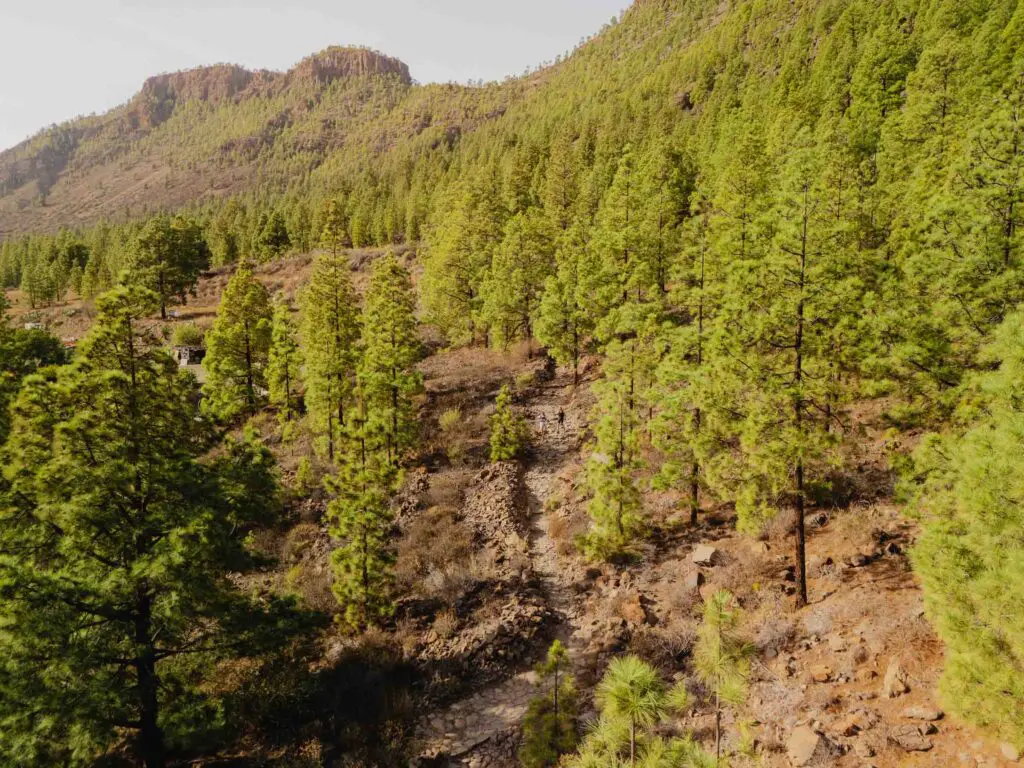 Trektocht in Gran Canaria