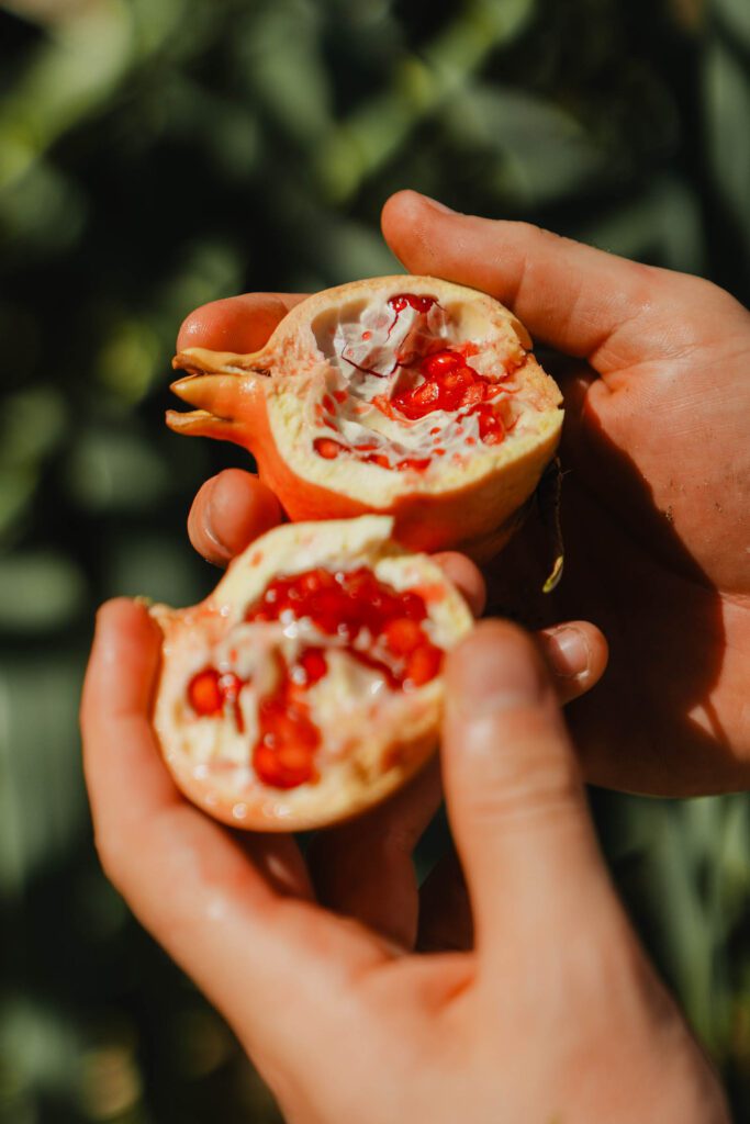 Nature à Gran Canaria