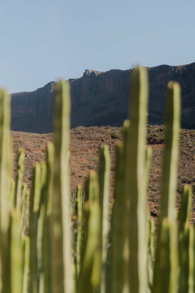 Nature à Gran Canaria